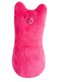 Giochi da masticare per gatti – Peluche interattivo