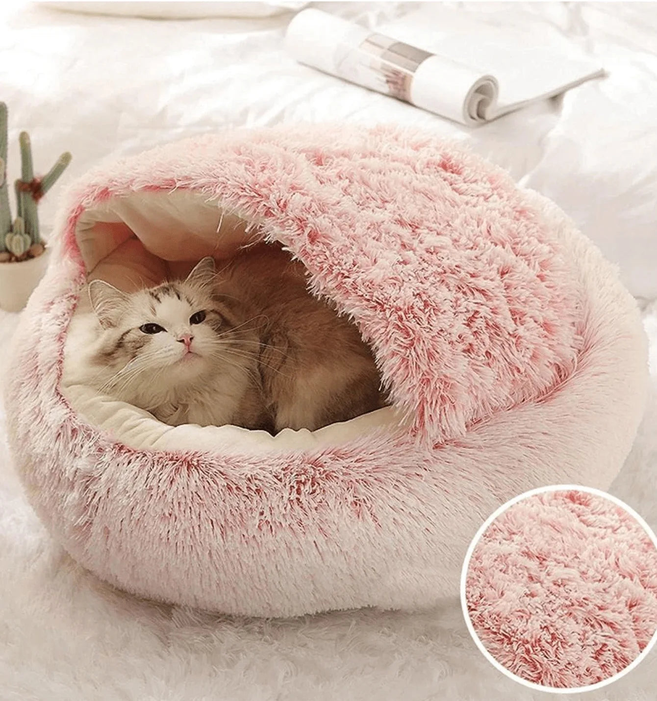 Cuccia in peluche