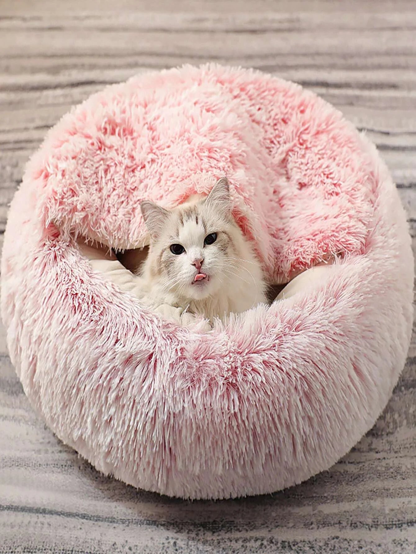 Cuccia in peluche