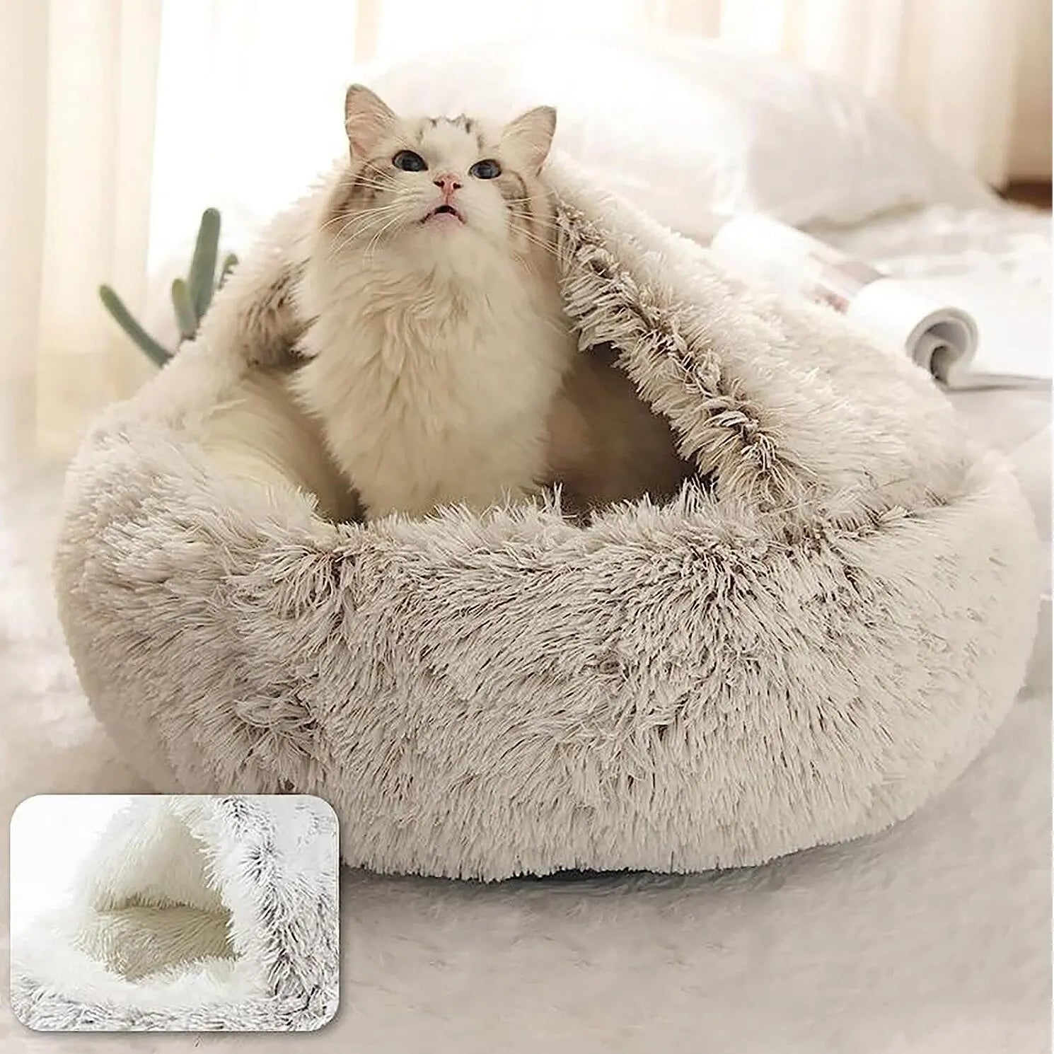 Cuccia in peluche
