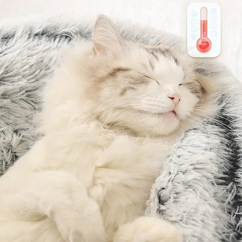 Cuccia in peluche